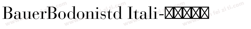 BauerBodonistd Itali字体转换